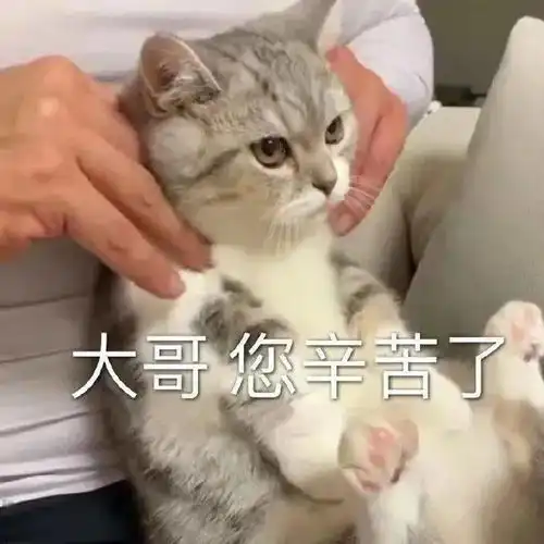  沙雕搞笑表情包i我们要以德服人