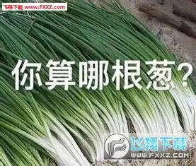  你算哪块小饼干系列表情包下载你算哪块小饼干表情包下载飞翔下载