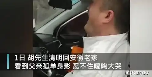  男子回应扫墓见父亲孤单身影大哭已经将父亲接到身边居住