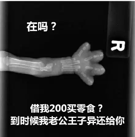 猫爪x光借钱表情包,在吗借我1000买纪梵希到时候我爸爸马云还给你 猫爪x光借钱表情包,在吗借我1000买纪梵希到时候我爸爸马云还给你