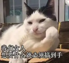  71岁老人被飞踹伤害反弹了轻松一刻5月19日周末版