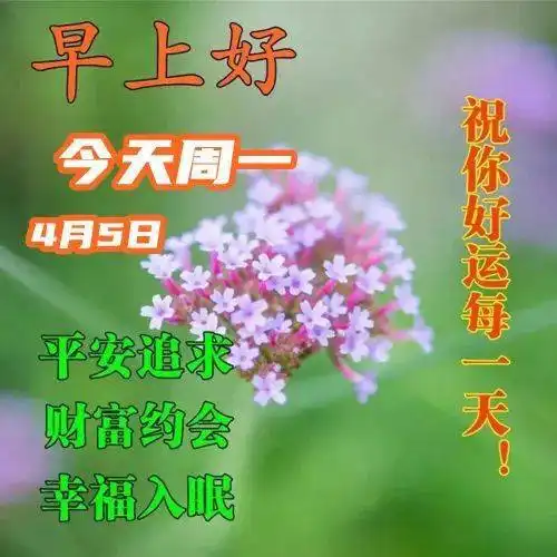  最新漂亮的周一早上好表情,无论风和雨,真情永不变,朋友早安平安
