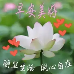  最美早安问候语简短一句话,早上好问候祝福图片动态