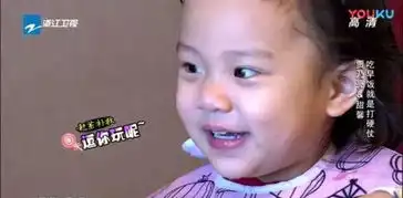  爸爸回来了已经透露出贾乃亮跟李小璐的感情不合
