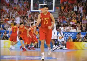 一个前半生献给篮球,后半生献给表情包的巨人 一个前半生献给篮球,后半生献给表情包的巨人