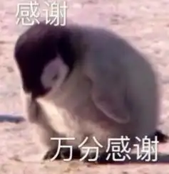  哔哩哔哩专栏