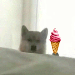 我的刀呢表情包动图