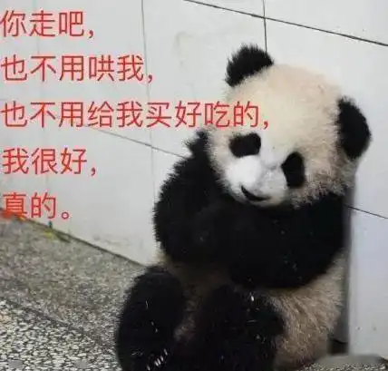  熊猫是假扮的证据找到了,这只熊猫会掐腰,为此有人画了漫画