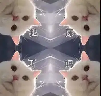  绝育公猫没有了世俗的欲望丨第89期表情包