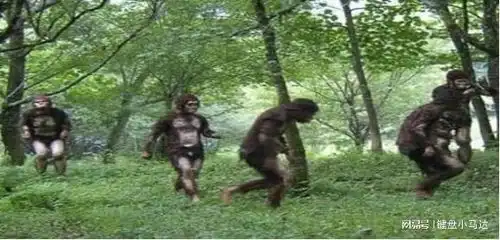 野人图片表情包漳泽