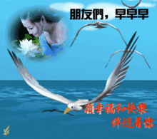  7月11日周四群发早晨好问候语动态图片表情