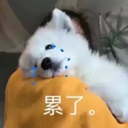 沙雕狗子表情包我命