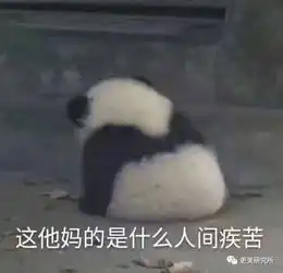  倪妮baby五一出行正面刚,天宝输惨了