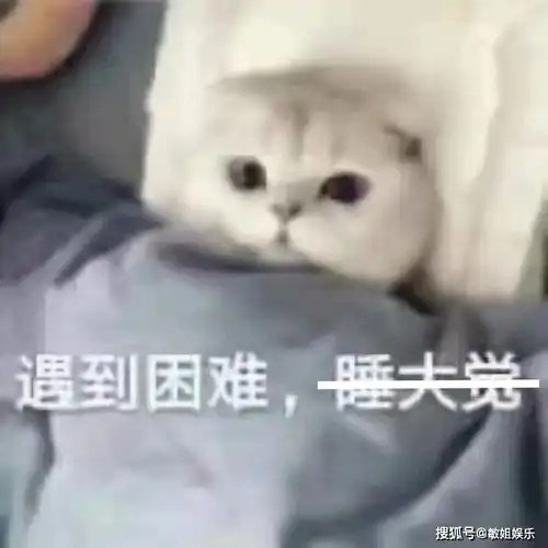  抖音主播来当爱豆,居然还挺可