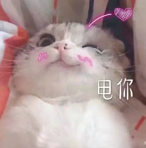  明起汕头开启雨水模式,节前洗晒或需见缝插针