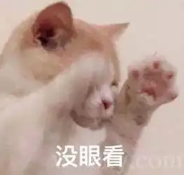  没眼看温村也玩起了卖肉租房