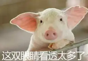  向一切口红势力低头表情包向口红跪下的表情包下载最新版腾牛下载