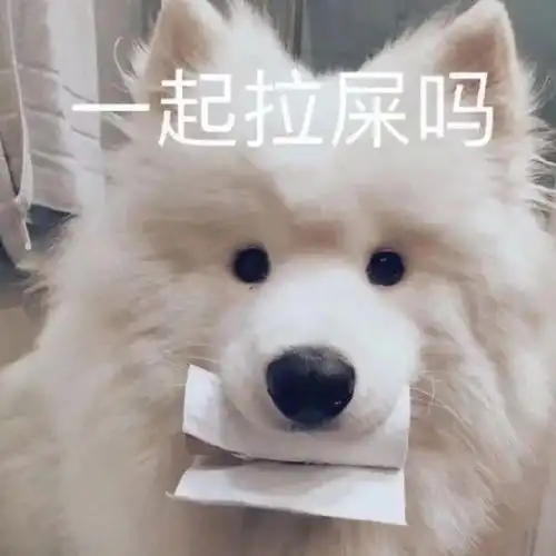  一眼就沦陷的沙雕朋友圈,快来get