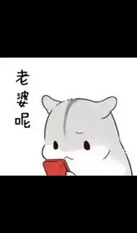 求小仓鼠hamham的表情包老公老婆,小娘子,夫君君系列的 求小仓鼠hamham的表情包老公老婆,小娘子,夫君君系列的