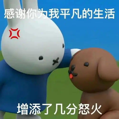  在这个家里,我是一个任何人都可以随意打骂的下等人