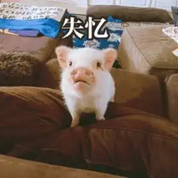  中小学生猪年春节生存指南