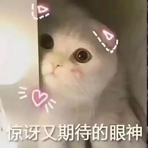  开学必败单价不超过50元的超低预算彩妆品