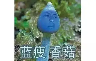  2016年十大网络流行语,你懂几个
