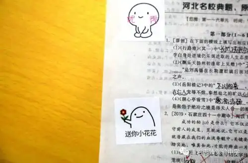  清河志臻用表情包做评语这样的老师给我来一打