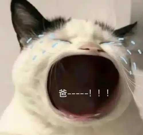  奇奇怪怪的表情包大赏