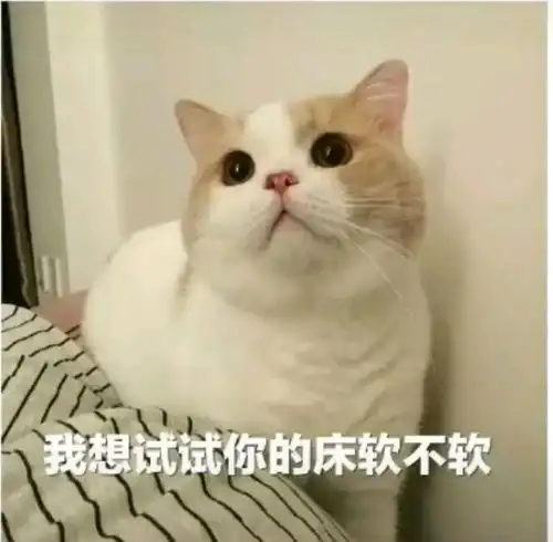  那些情侣们聊天常用的表情包骚话篇不会真的有人以为我只会发点表情包吧