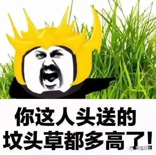 进城了表情包爆笑