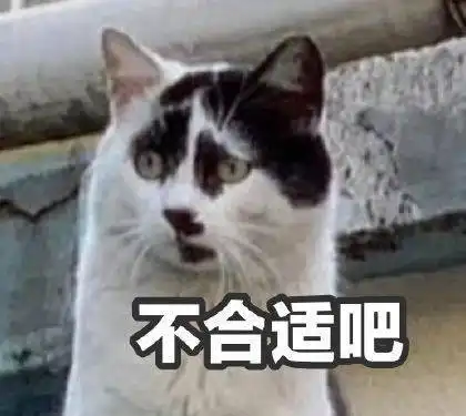  我寻思一只猫能有多丑看完后,我真吸不下去啊
