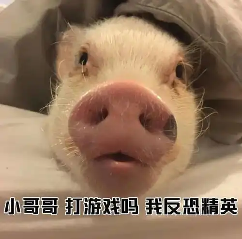  表情包教大家如何一句话搭讪小哥哥
