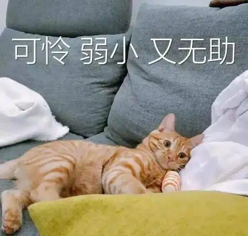  阴晴雨接下来,达州的天气要暴走