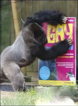  世界上最怪癖的奇葩动物见过一种你就不错了