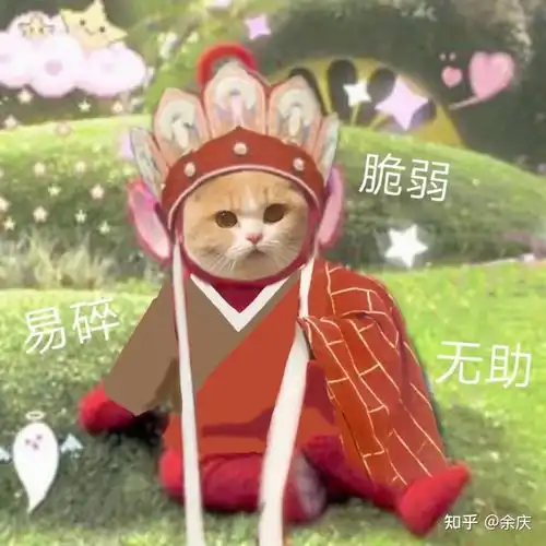 如果你穿成仙侠文修仙中的恶毒女配怎么办 如果你穿成仙侠文修仙中的恶毒女配怎么办