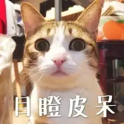 肚子疼表情包动漫朋友圈