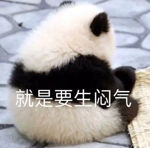  爱情是最不靠谱的东西
