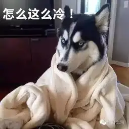  魔都妖风界三大传奇这里的上海人已经彻底风中凌乱了