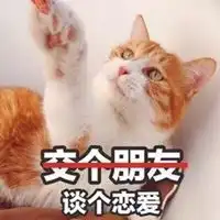  表情无所谓猫的微信头像卡通无所谓猫头像