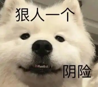 认怂表情包认错
