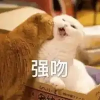 强吻表情包图片大全表情