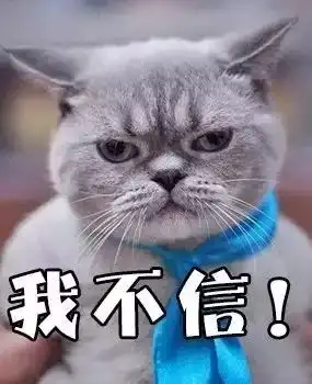  甲骨文晦涩难辨一组萌萌哒的甲骨文表情包表示不服