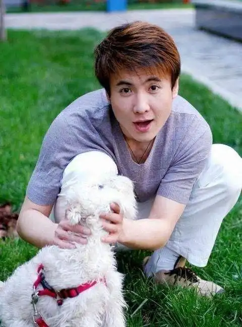 沈腾表情包100张