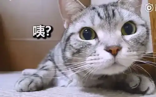  一年前就做好的外卖,你还敢吃吗成本最低只要三块