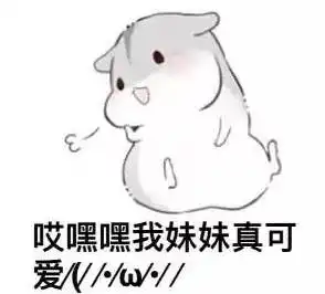  你要是有这样的哥哥,哈哈哈哈笑死了,你一定是捡来的