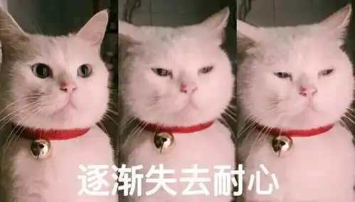  女票想生气,分分钟都可以有理由说中的举手