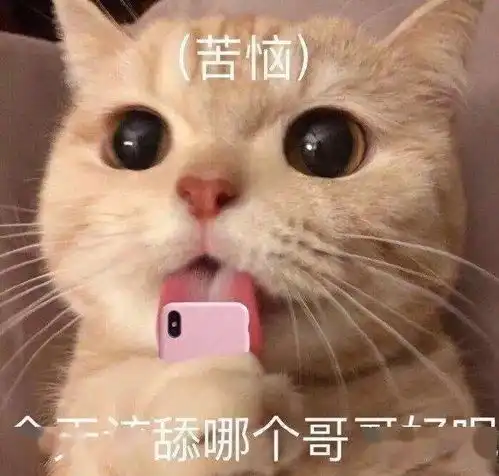 猫沙雕表情包聊天表情