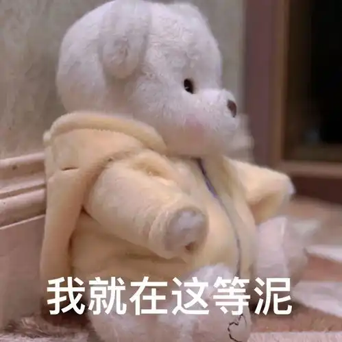  小红书超火的可爱莉娜熊聊天表情包