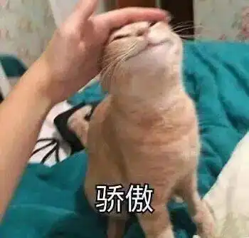  超级沙雕的猫子狗子表情包,爱了